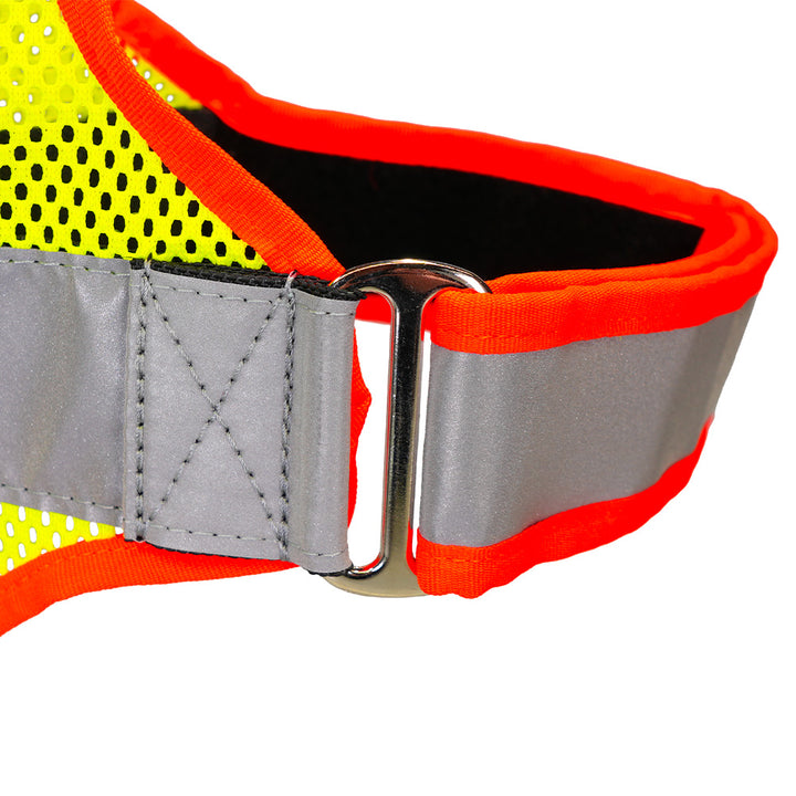 Couverture d'identification Balou Strong