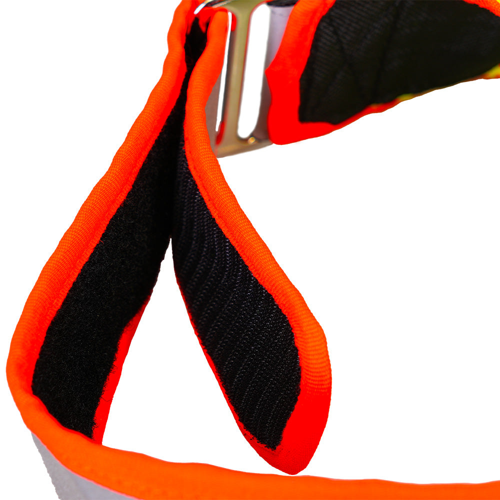 Couverture d'identification Balou Strong