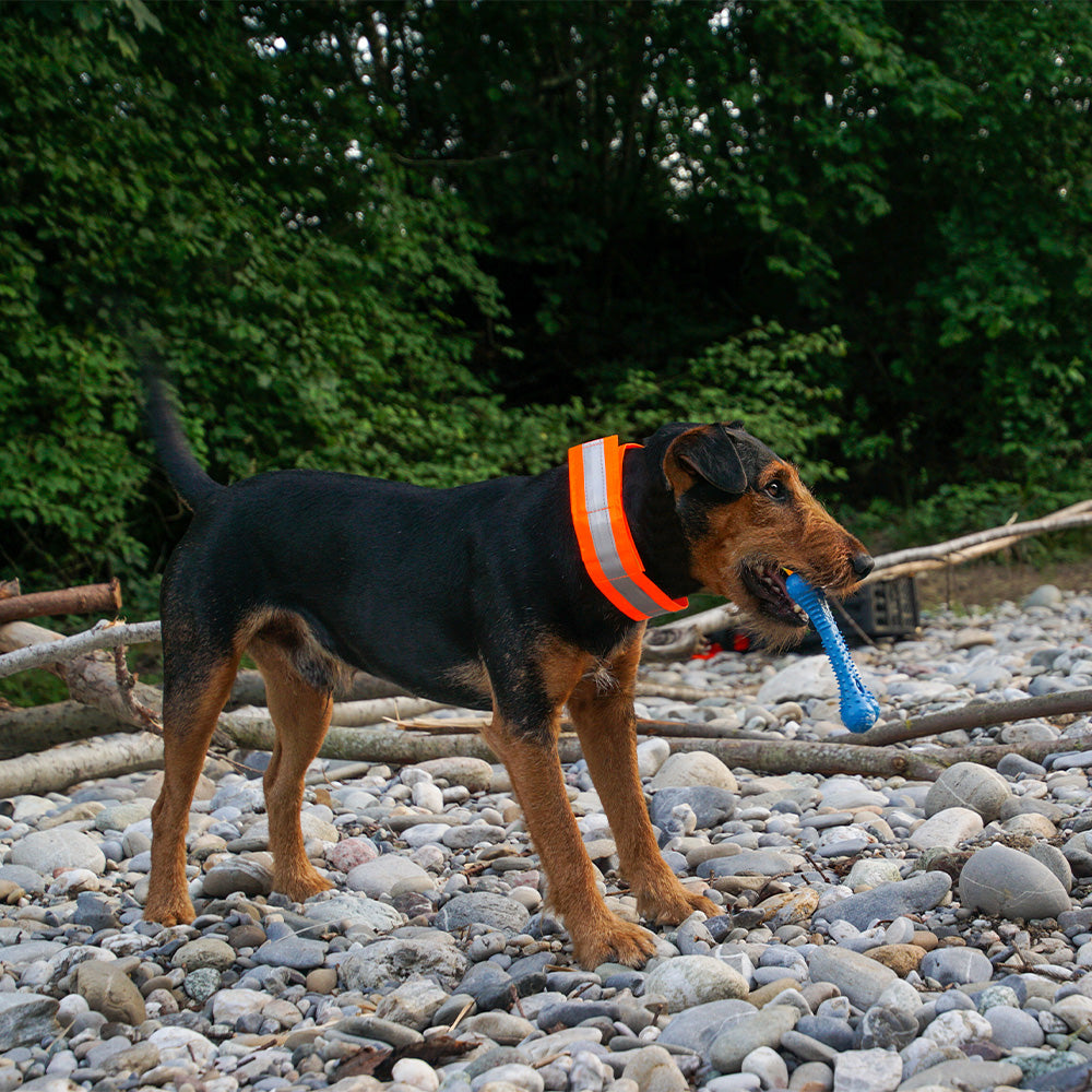 Collier lumineux Charly