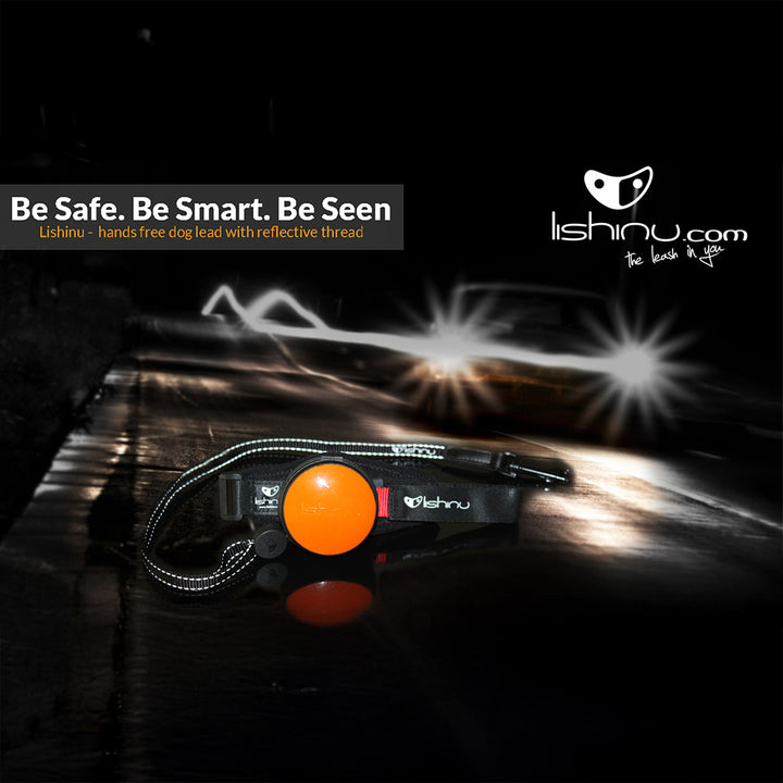 Lishinu 3-en-1 laisse intelligente pour chien-rouleau orange