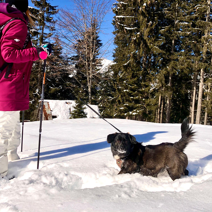 Lishinu 3 - laisse intelligente pour chien en laisse rose