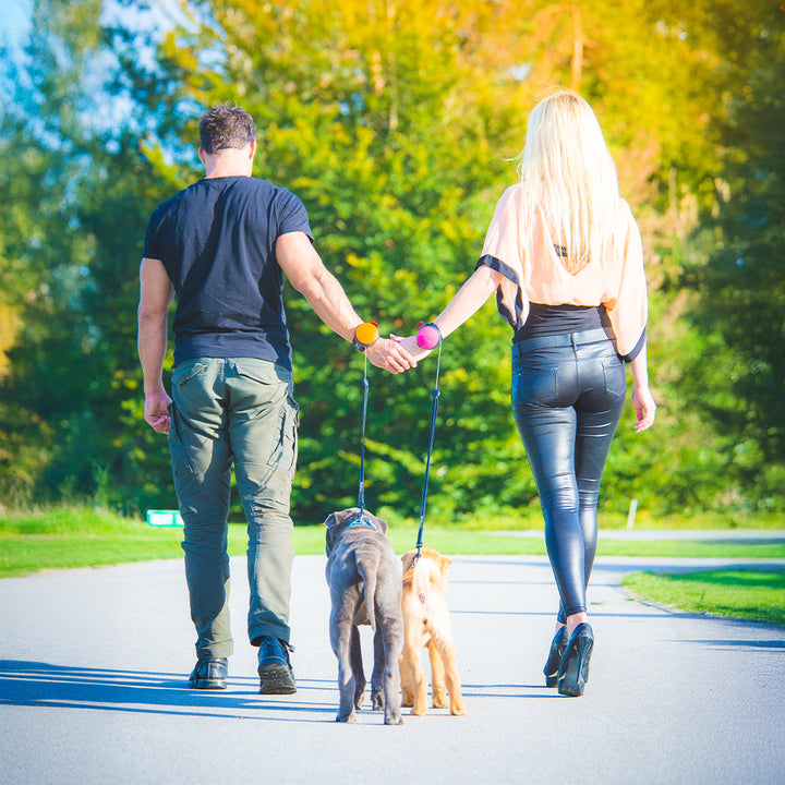 Lishinu 3 - Laisse à enrouleur intelligente pour chiens orange et rose