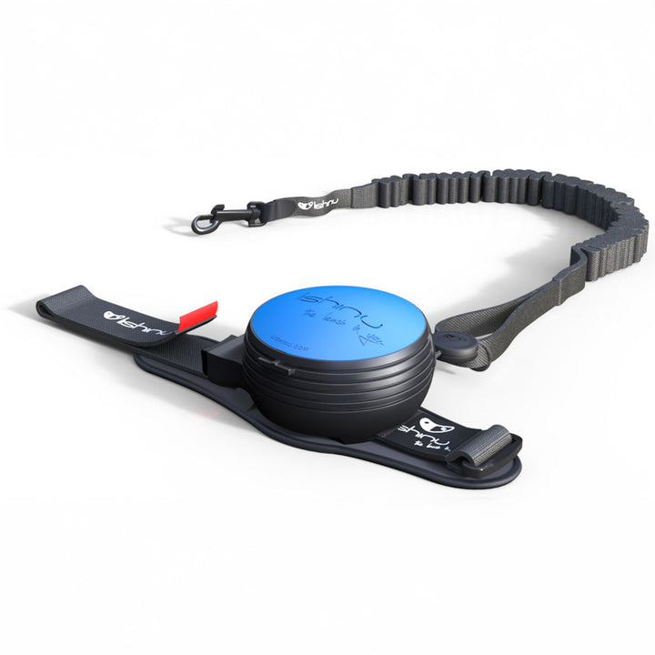 Lishinu bungee laisse/roulotte pour chien avec amortisseur de traction. Couleur bleue