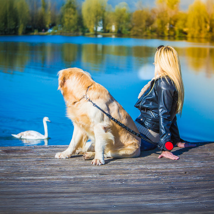 Lishinu bungee laisse/roulotte pour chien avec amortisseur de traction. Couleur rouge