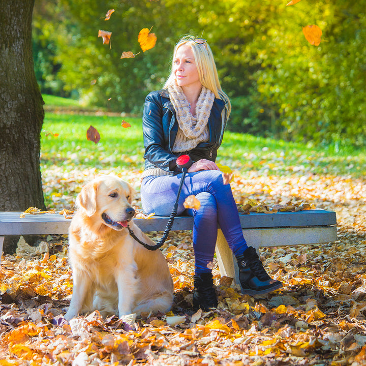 Lishinu bungee laisse/roulotte pour chien avec amortisseur de traction. couleur rouge