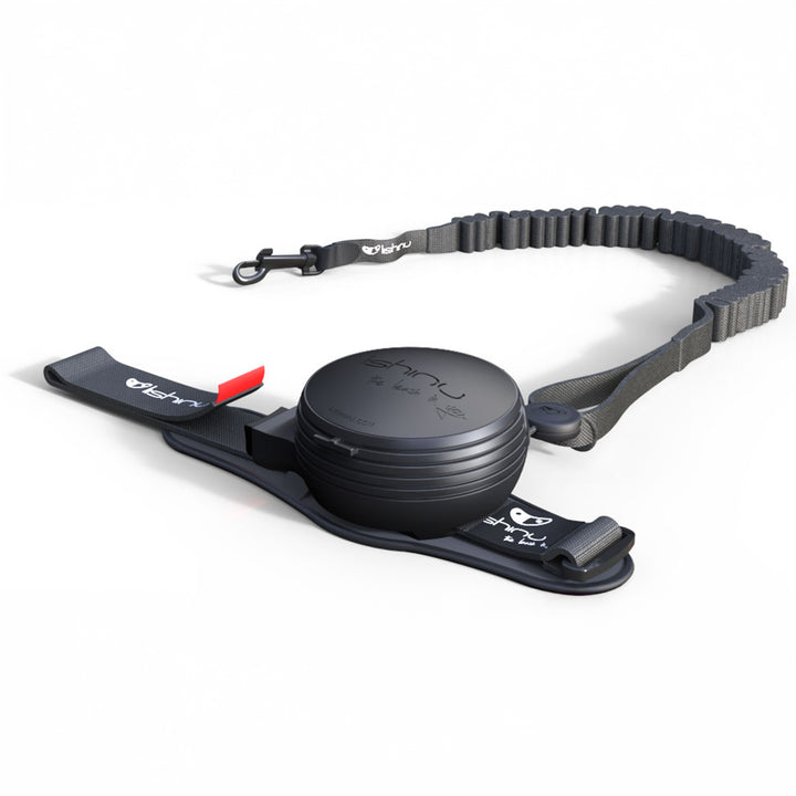 Lishinu bungee laisse/roulotte pour chien avec amortisseur de traction. couleur noir