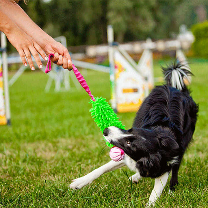 Jouet Mop Boudin Bungee Ball