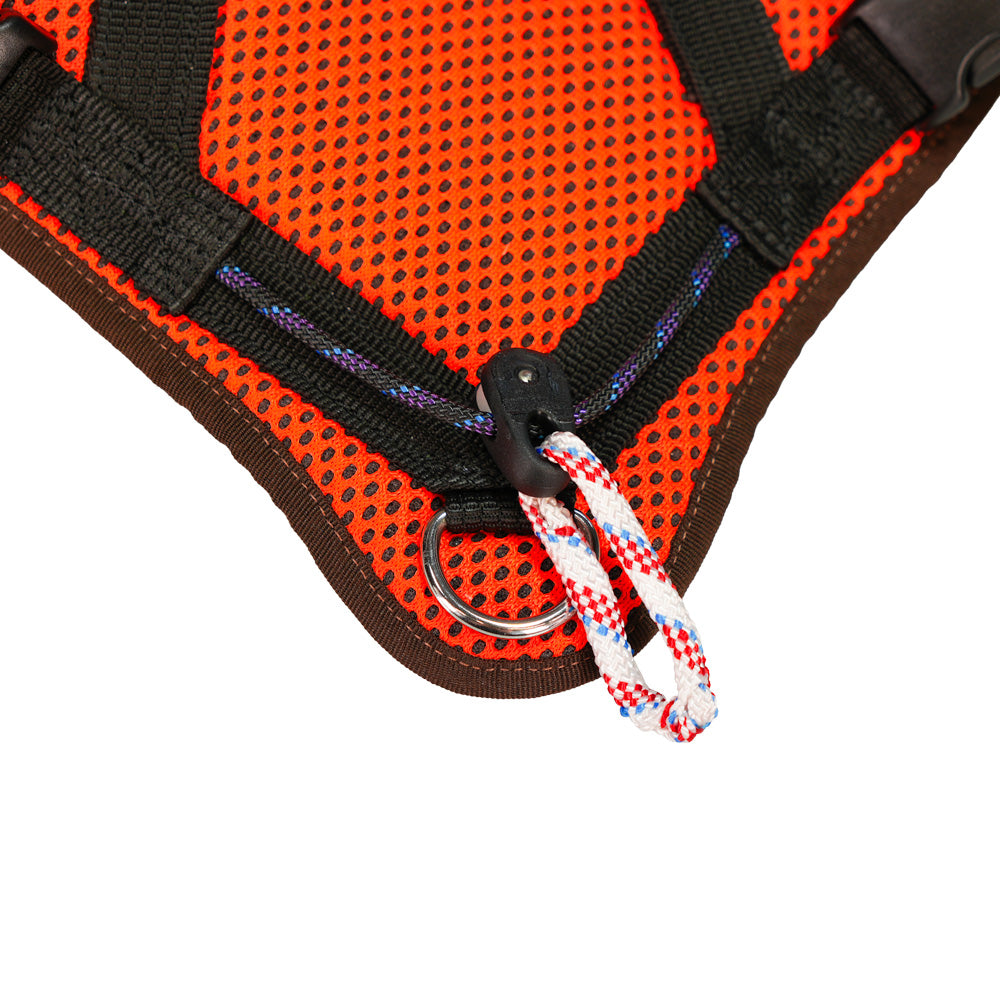 Mantrailing-harnais V avec roulette