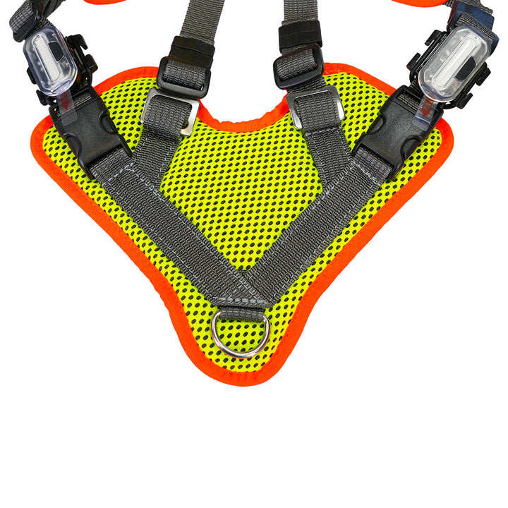 Mantrailing-harnais V avec réflecteur et LED