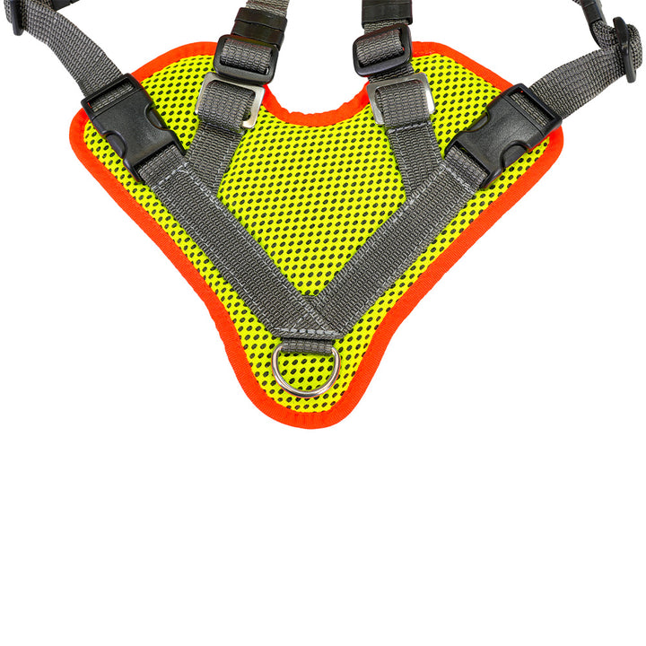 Mantrailing-harnais V avec réflecteur