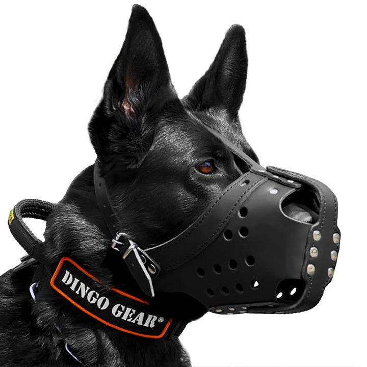 Muselière en cuir pour l'utilisation et l'entraînement - Dingo Gear