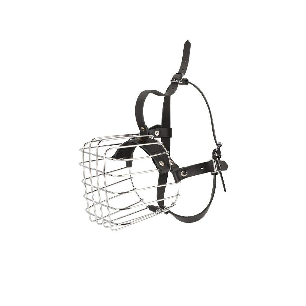 Muselière en métal - Dingo