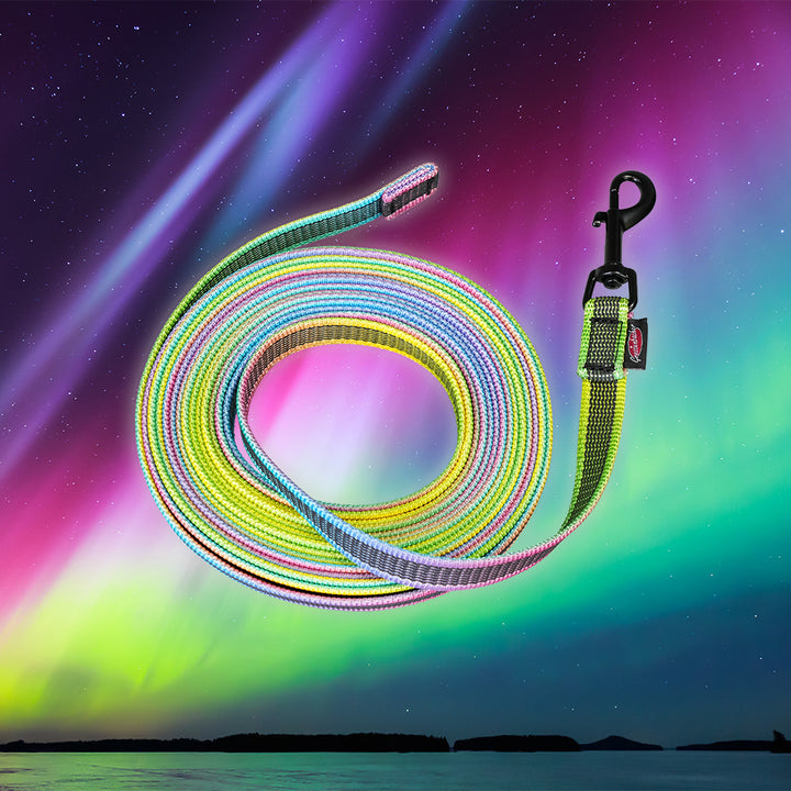 Laisse de chien à pister ABS-Mediumflex Aurora