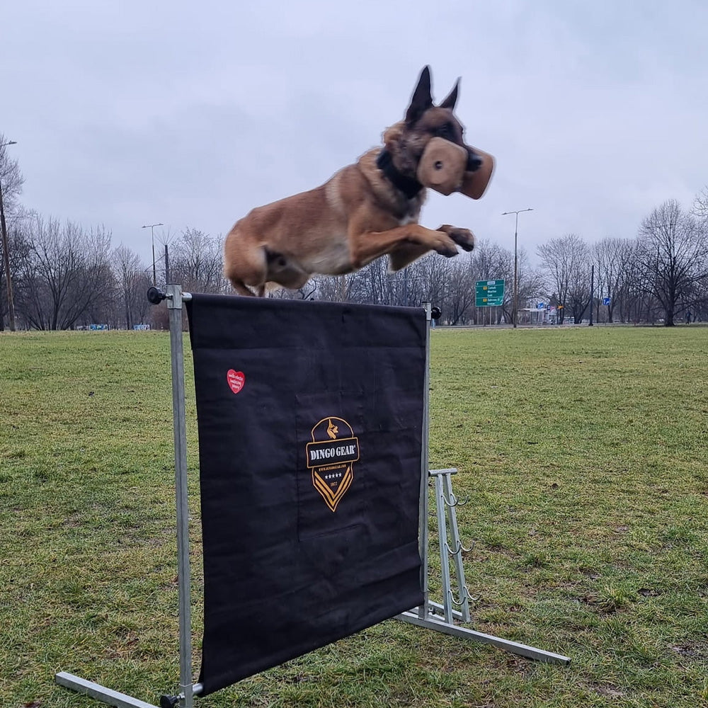 Haie de saut 100 cm de haut - Dingo Gear