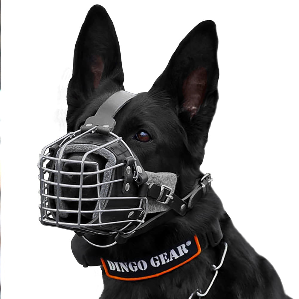 Panier antichoc en métal - Dingo Gear