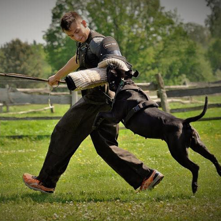 Bras d'entraînement GARDA strong - Dingo Gear