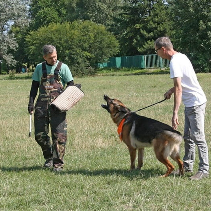 Bras d'entraînement RALF avec revêtement en jute interchangeable - Dingo Gear
