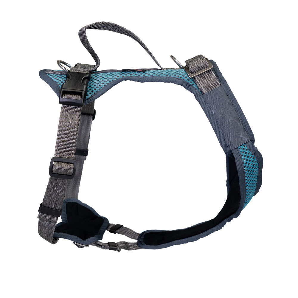 Harnais pour jeunes chiens Vary Standard, réglable librement. pétrole-gris foncé