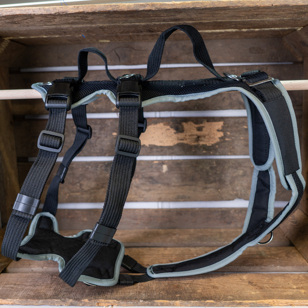 Harnais pour chien Vary Support couleurs spéciales, outlet, prix réduit