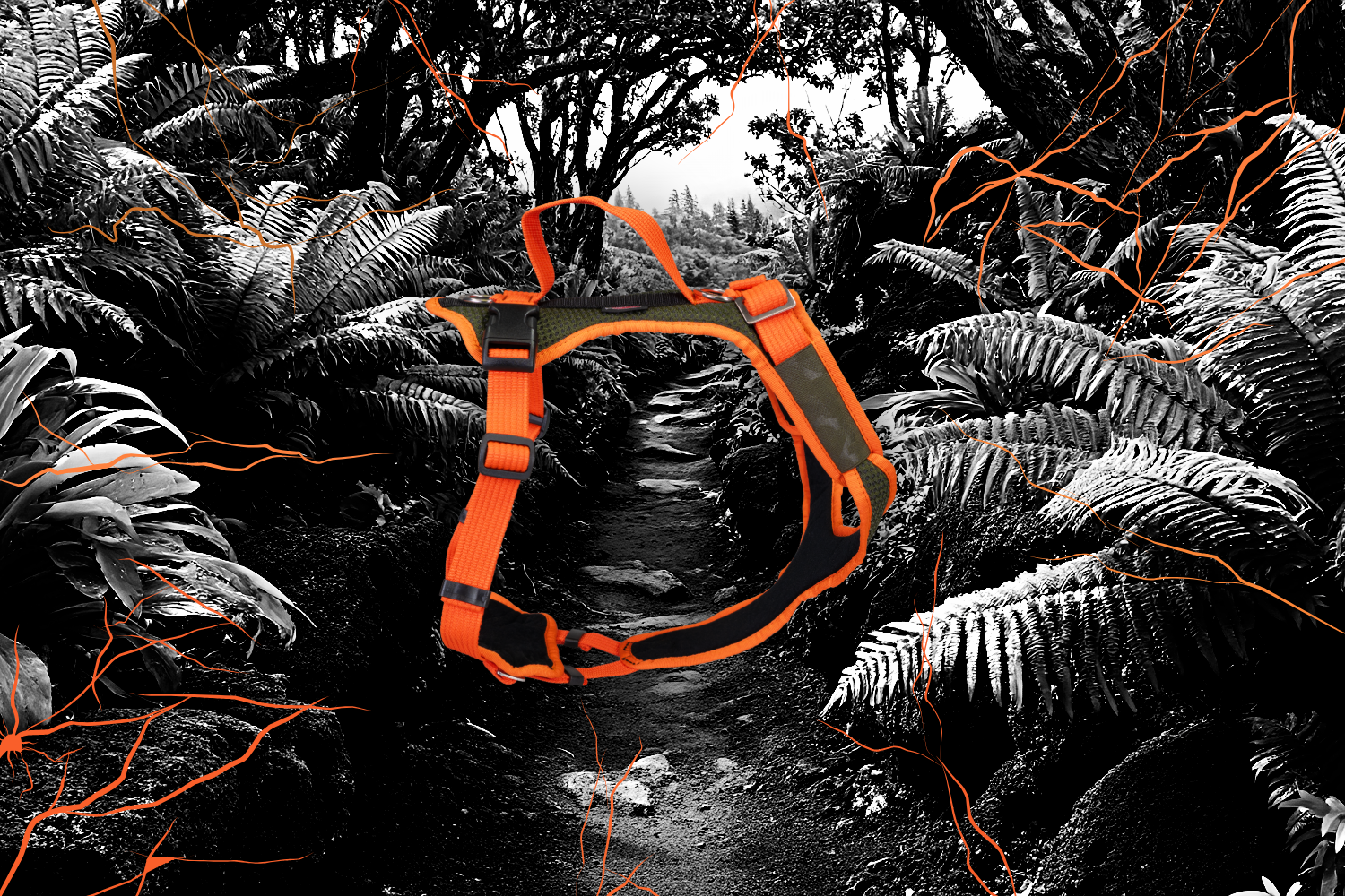 VARY Color Edition: sono arrivati i nuovi colori della pettorina per cani VARY!