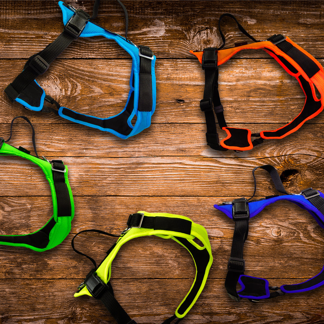 NUOVO, Variazione della tinta unita