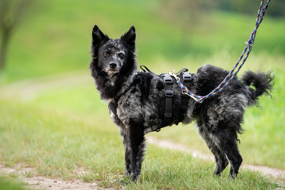 Escursioni e discese in corda doppia