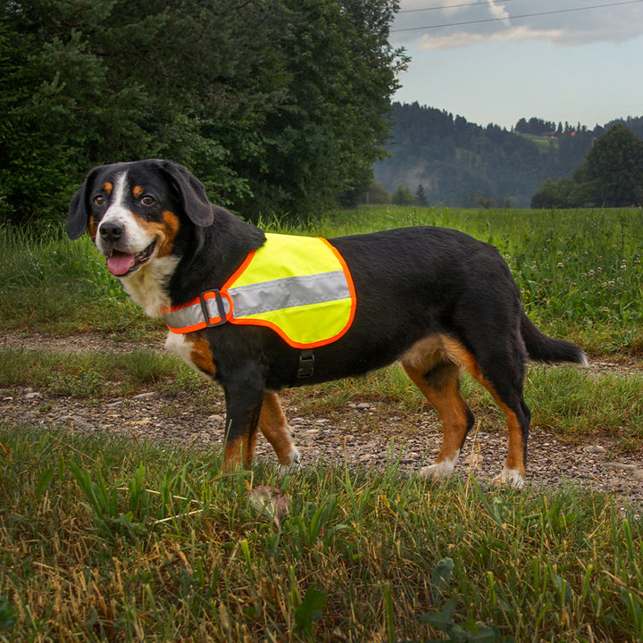 Coperta per cani Balou Easy illuminata