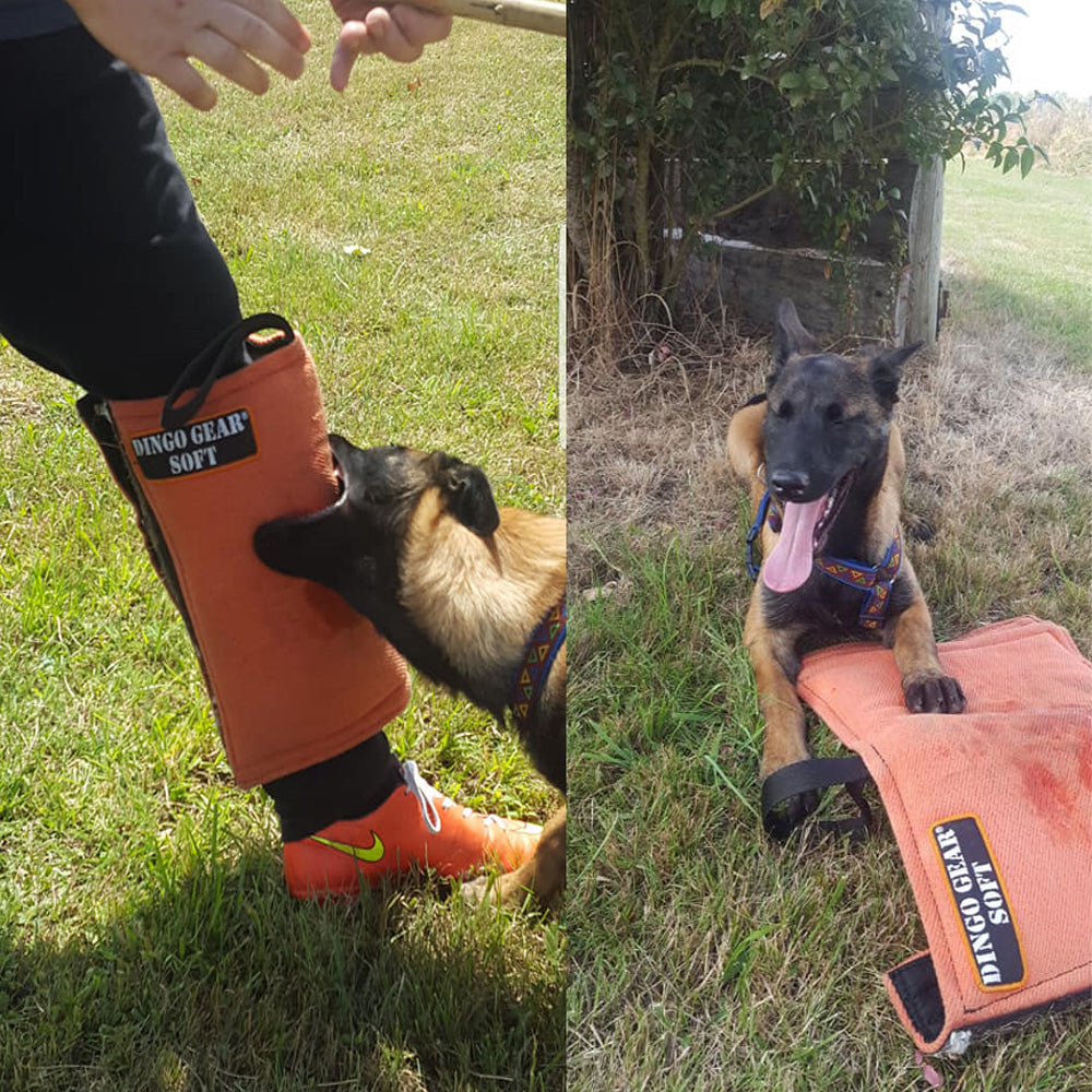 Polsino corto SOFT - Dingo Gear