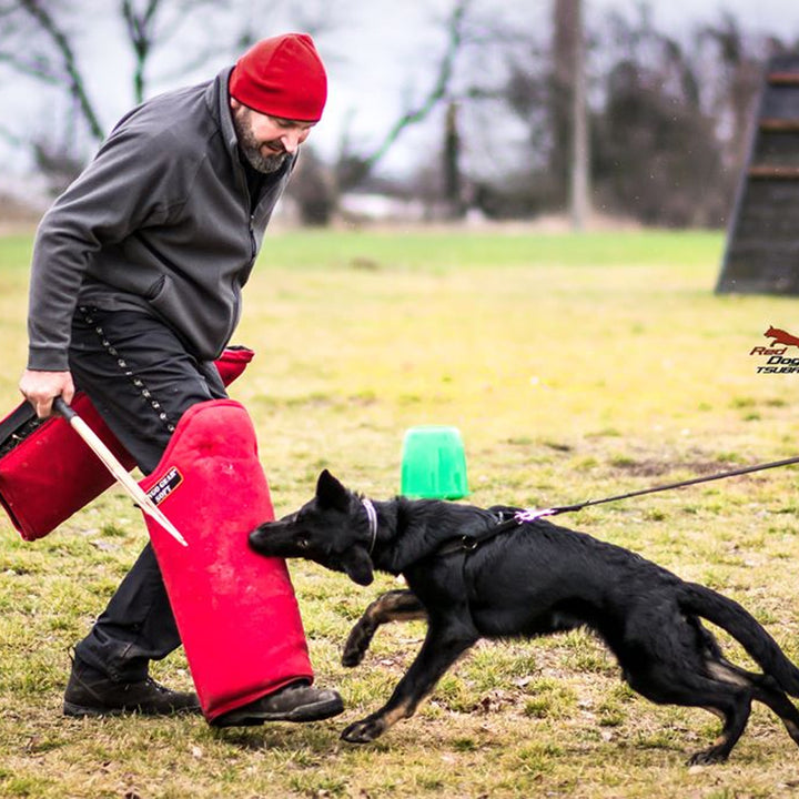 Polsino lungo SOFT - Dingo Gear