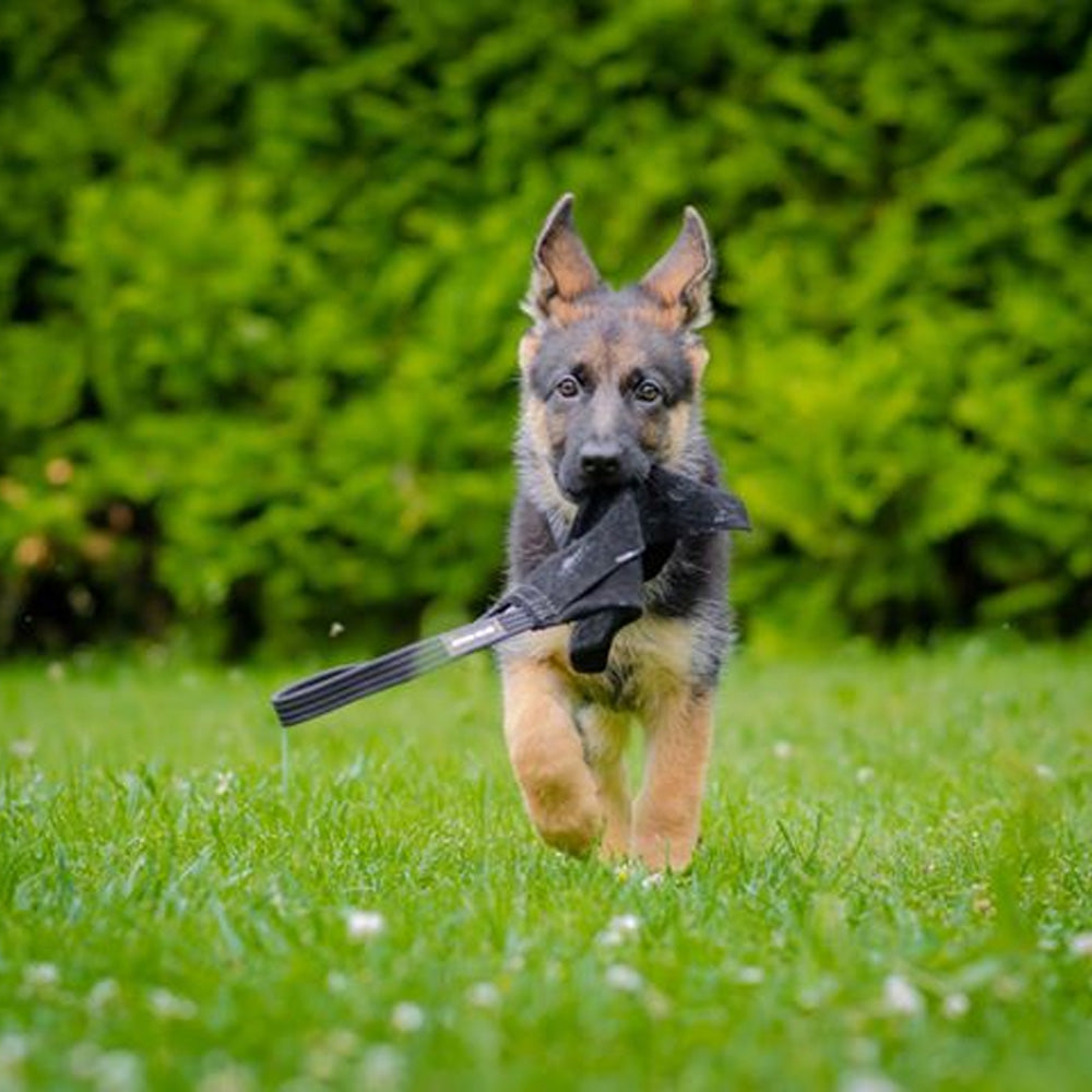 Giocattolo da mordere RUG mini in pelle - Dingo Gear