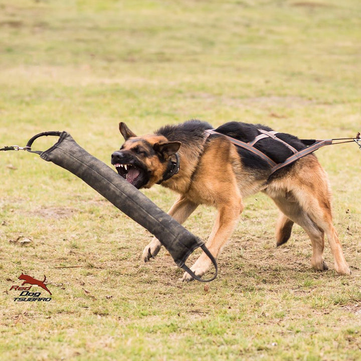 Boudin extra forte, due anelli - Dingo Gear