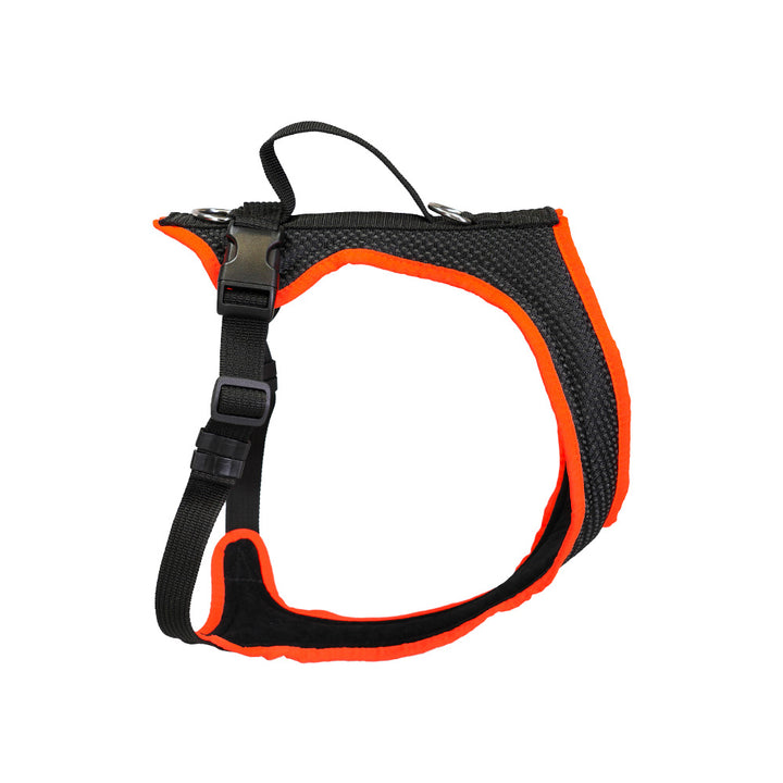 Dog`s Fun Run imbracatura per cani Standard, nero-turchese. made in Switzerland