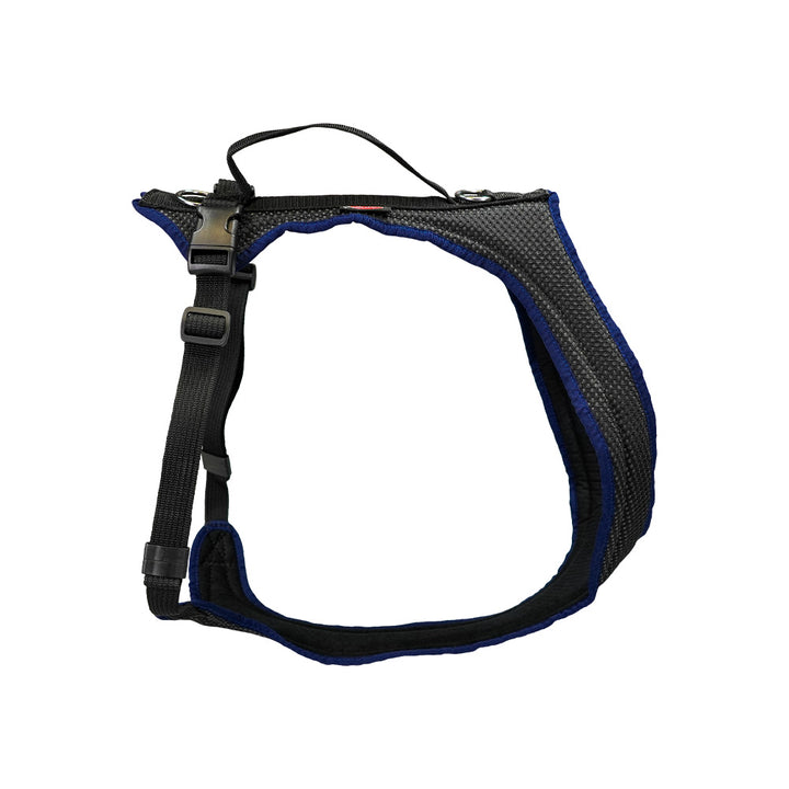 Dog`s Fun Run imbracatura per cani Standard, nero-azzurro. made in Switzerland