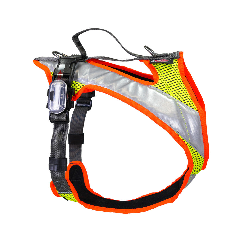 imbracatura per cani Dog`s Fun Run Night, giallo fluorescente con strisce riflettenti, due luci LED e bordi arancioni fluorescenti.