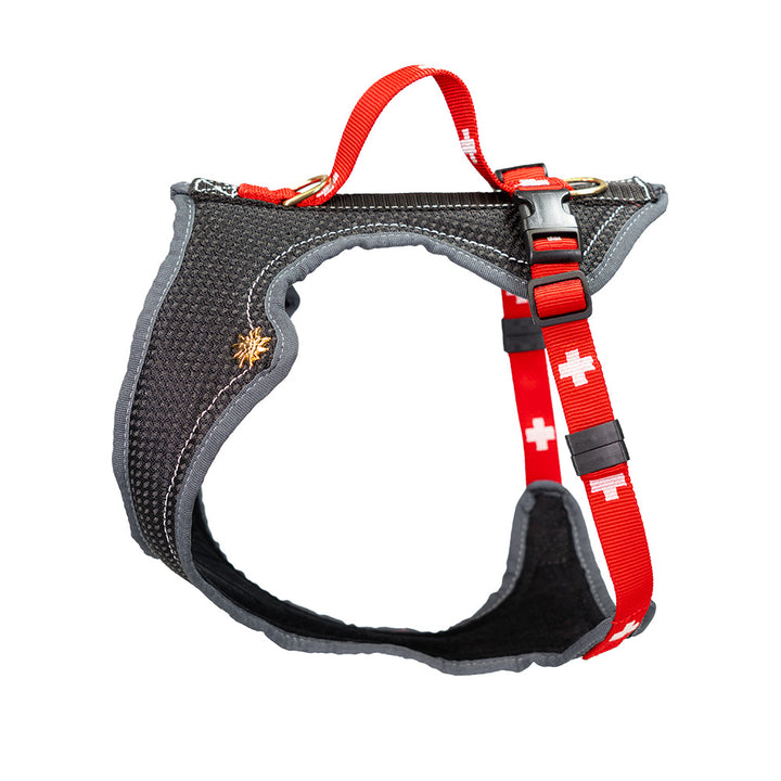 Set SWISS EDITIONimbracatura per cani)