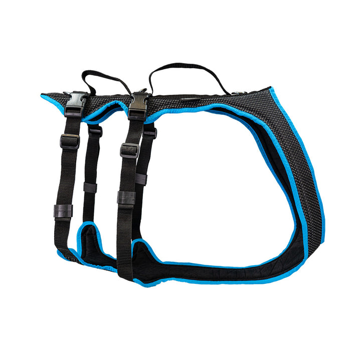 imbracatura per cani Dogs Fun Run Support, per passeggiate e sostegno, nero-turchese