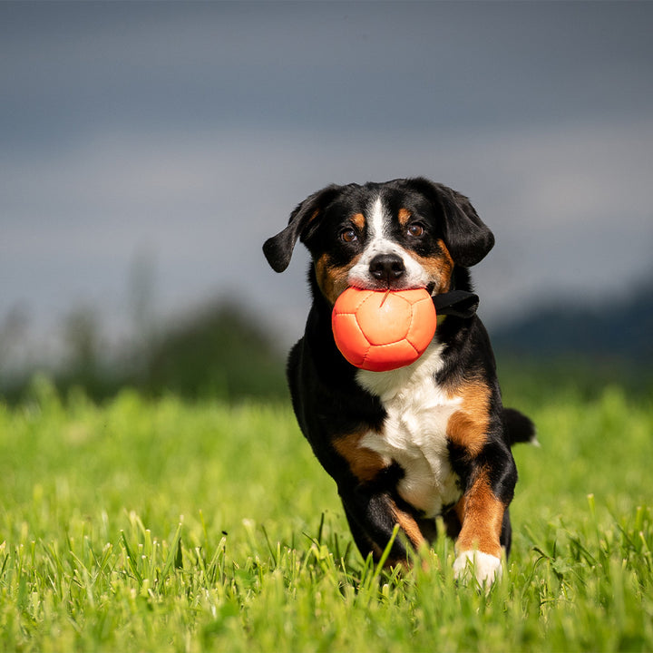 Softball in ecopelle