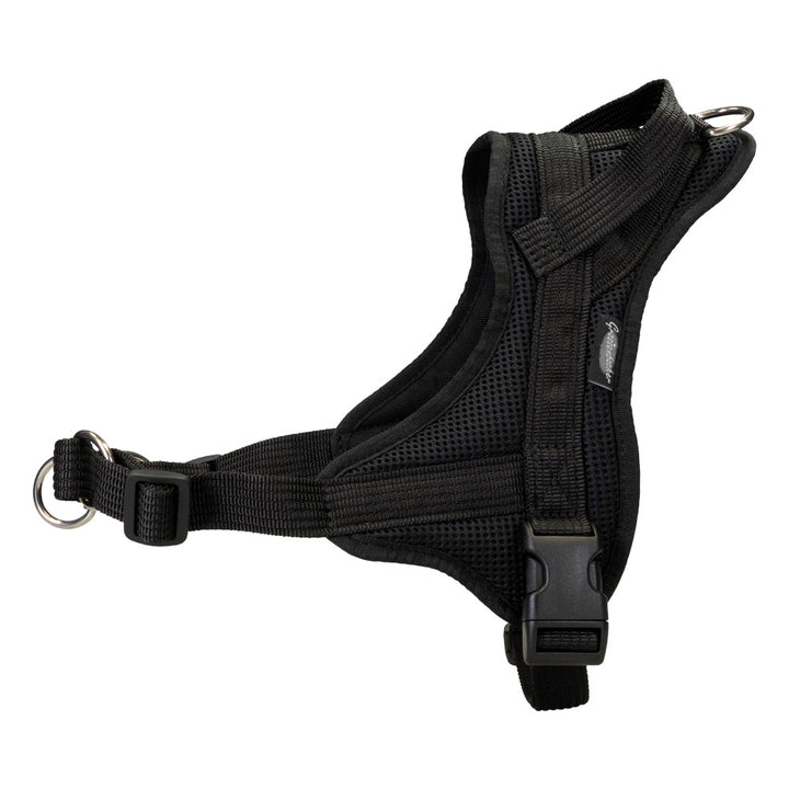 Guida all'imbracatura per l'addestramento