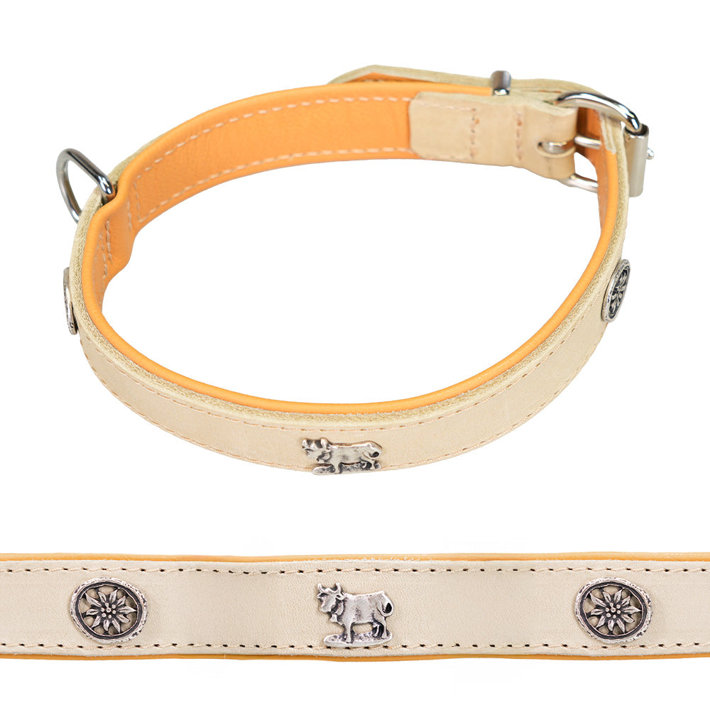 Collare per cani in pelle beige con borchie