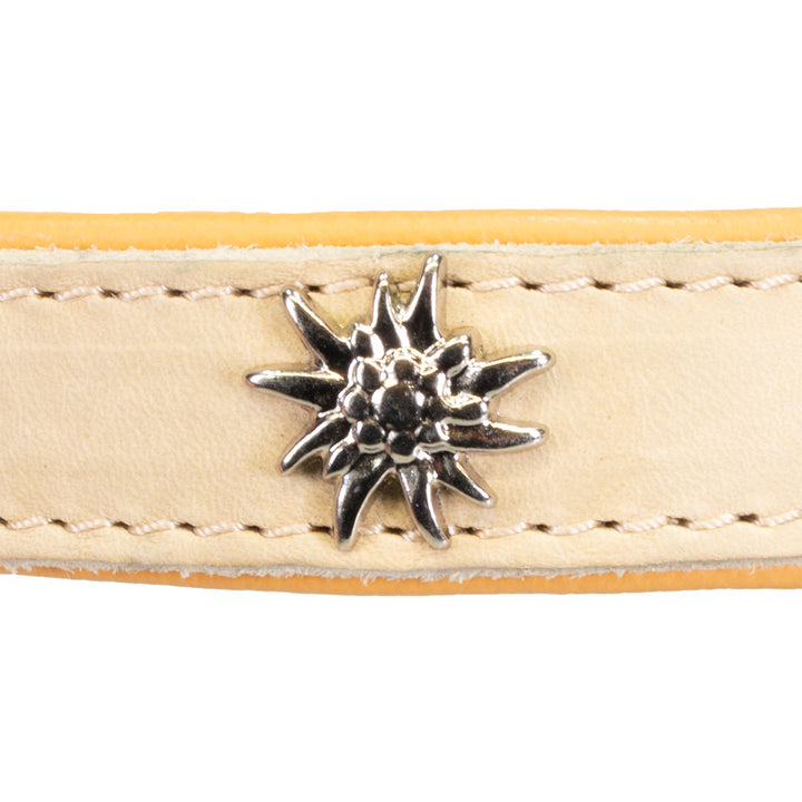 Collare per cani in pelle beige con borchie