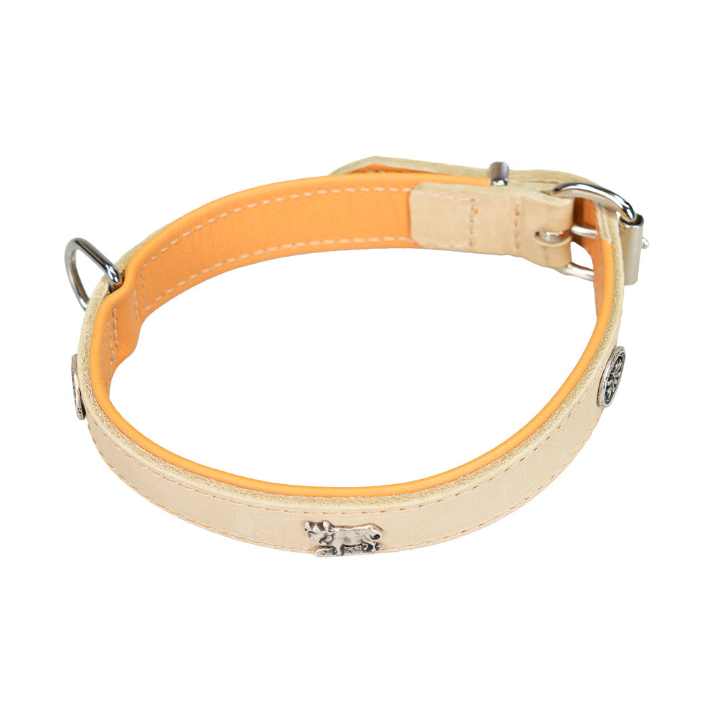Collare per cani in pelle beige con borchie