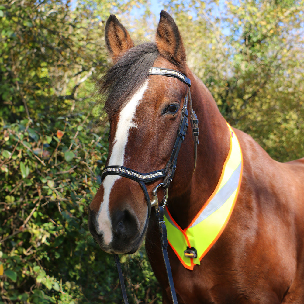 Riflettore del collo CELINE