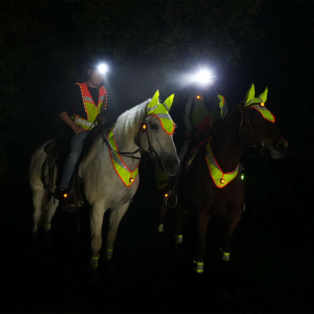 Riflettore del collo CELINE