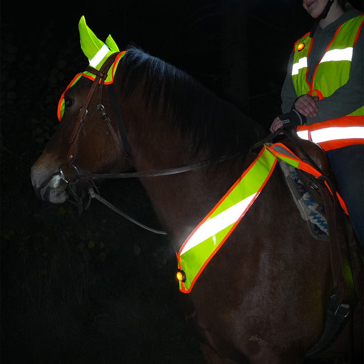 Riflettore del collo CELINE