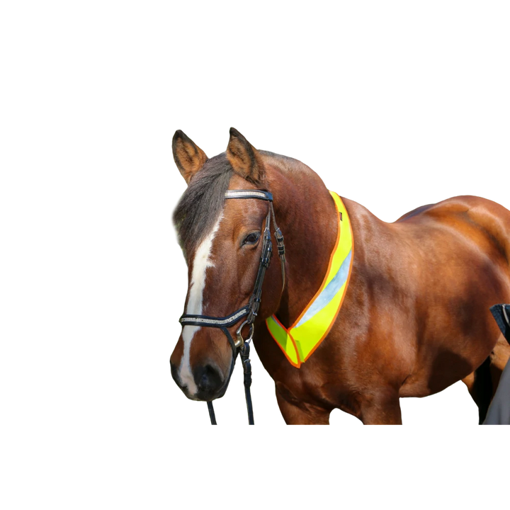 Collo riflettore Louisiana