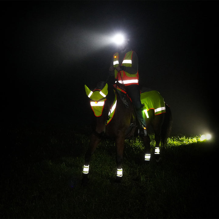 Filato luminoso per orecchie Washington