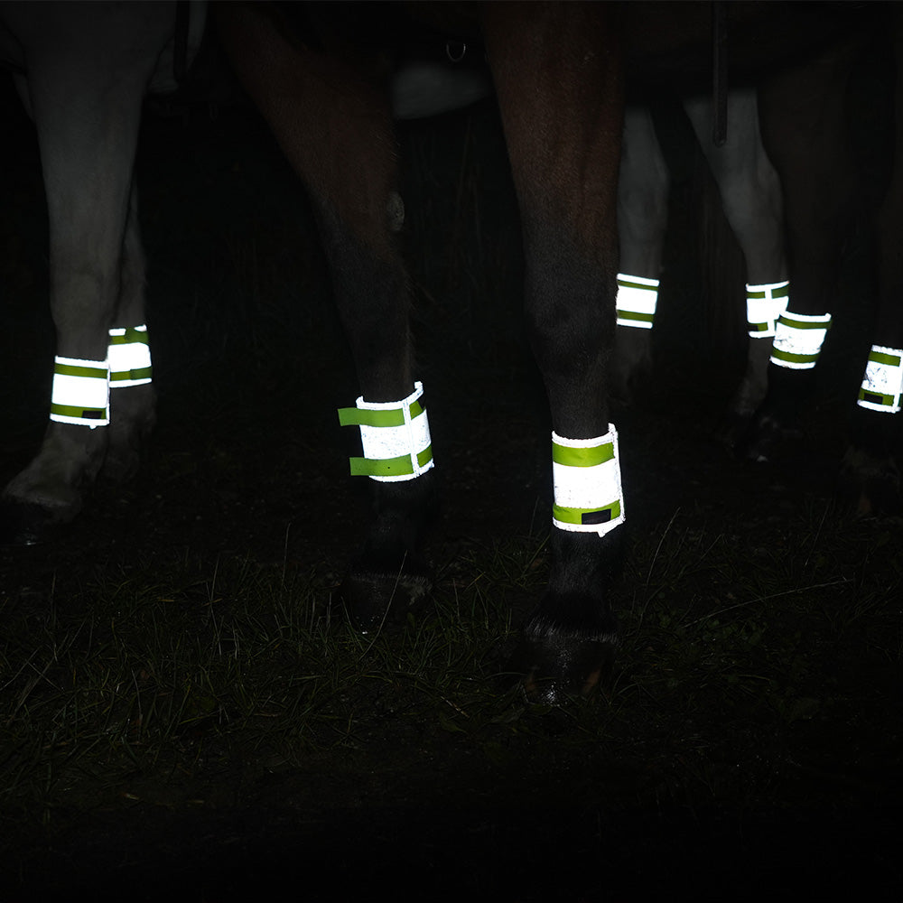 Ghetta illuminata Alabama