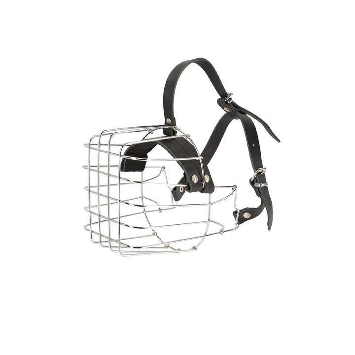 Muso in metallo - Dingo