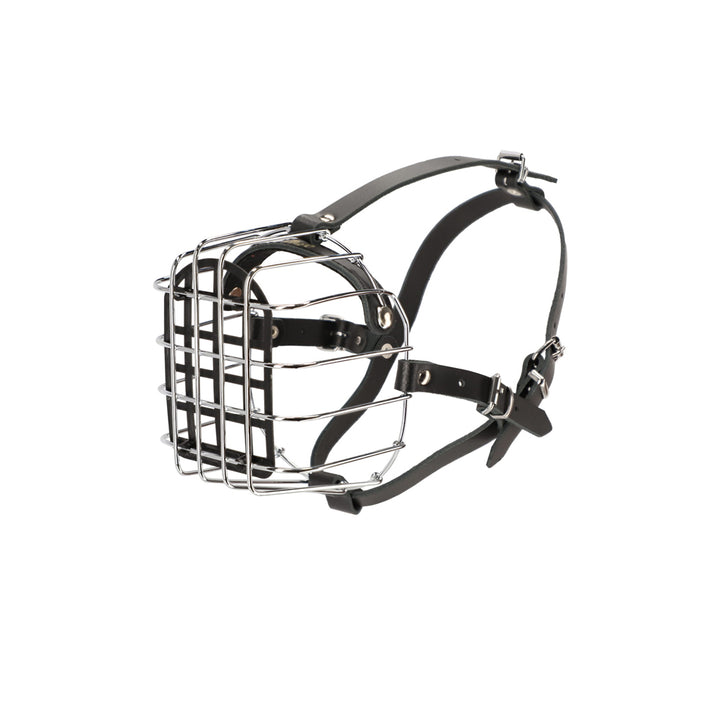 Muso in metallo - Dingo