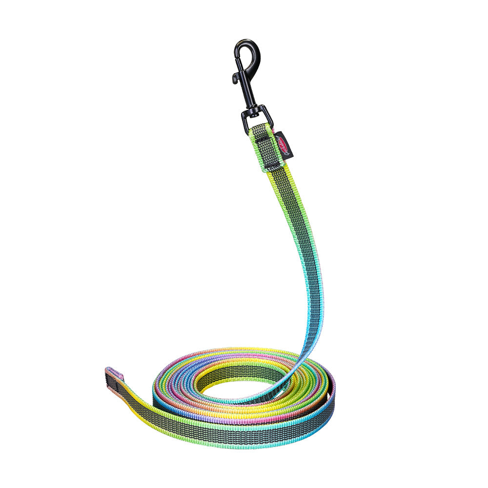 Guinzaglio per cani guinzaglio da trascinamento ABS-Mediumflex Aurora